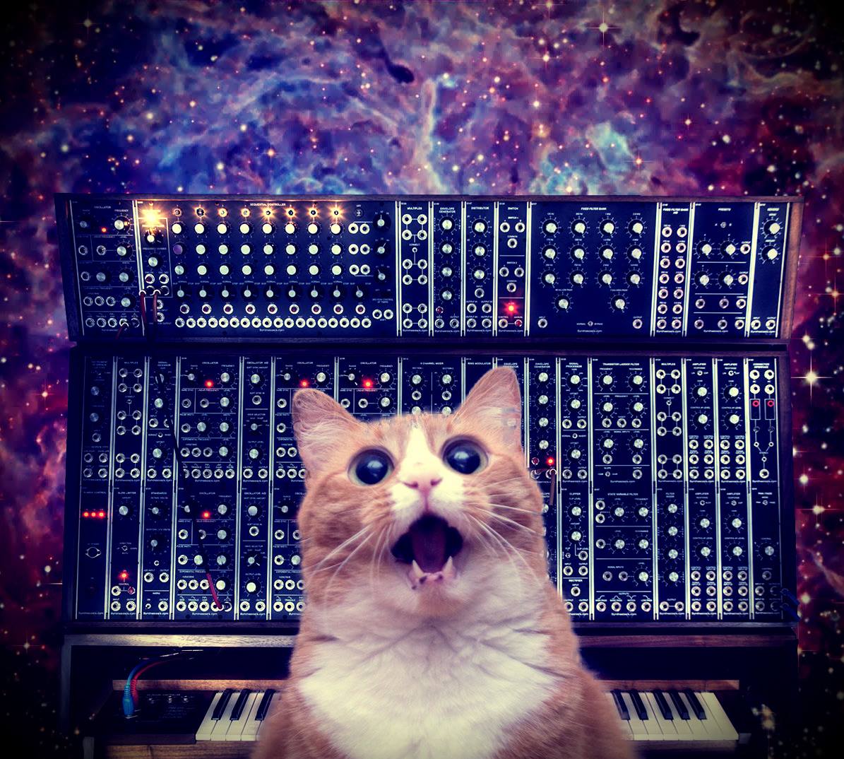 Cats on Synthesizers. In Space.